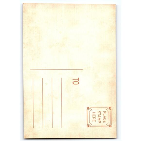 Vintage Halloween Skeleton Lady Postcard 5.5x4 Unused Photochrome - Picture 2 of 2